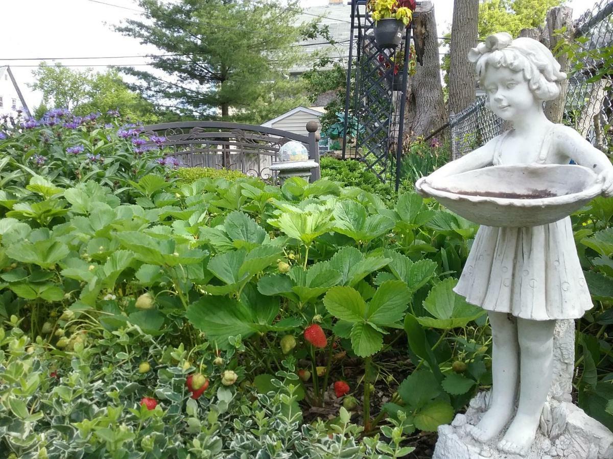 Hanover House Bed And Breakfast Niagarawatervallen Buitenkant foto
